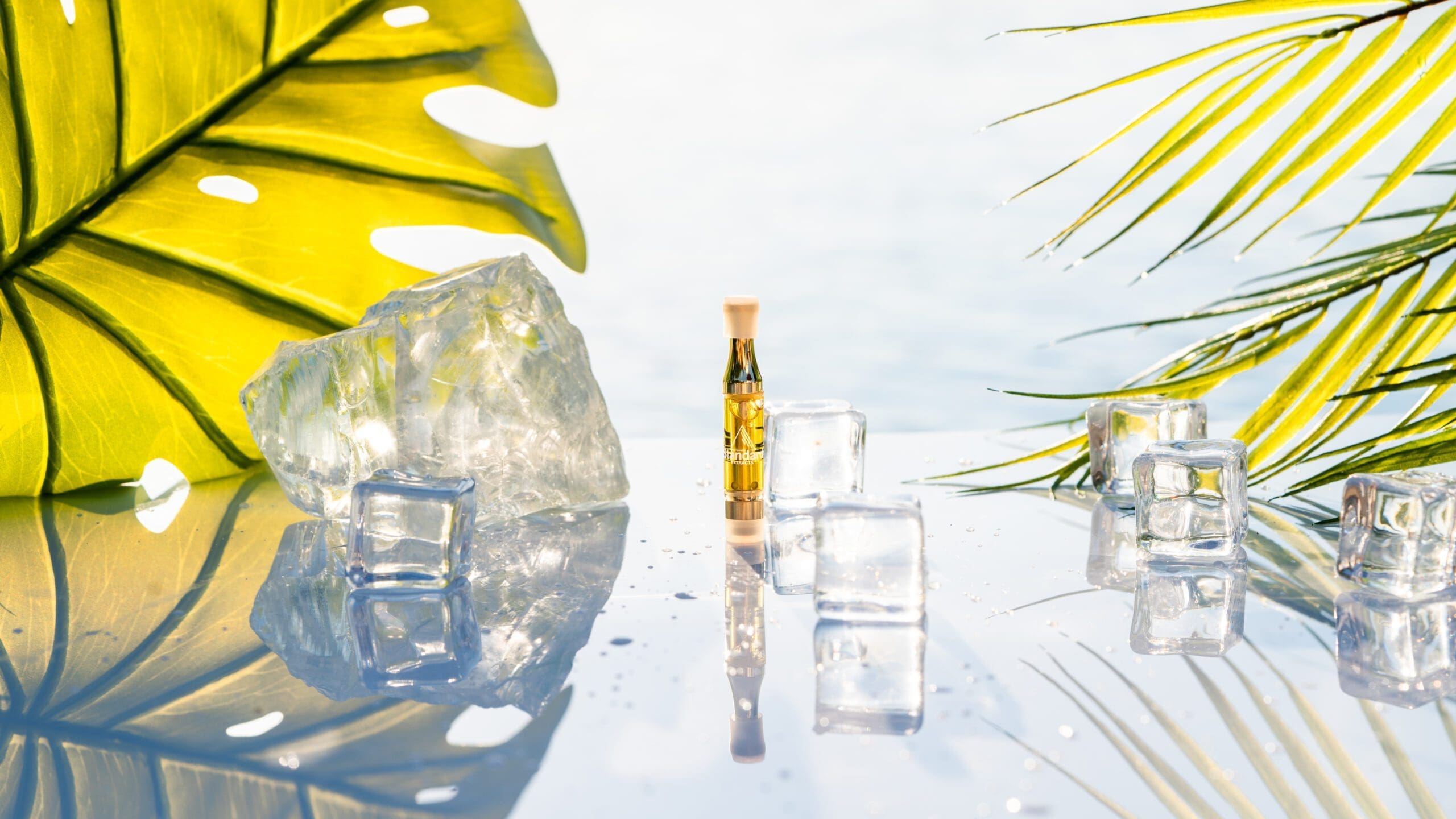 A bottle of oil rests on a table, accompanied by a vibrant palm leaf