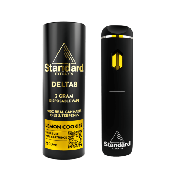 Disposable vape black