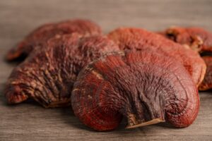 dried reishi mushroom