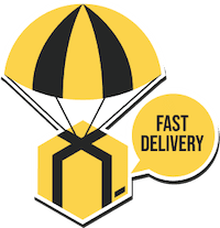 Fast Delivery Icon